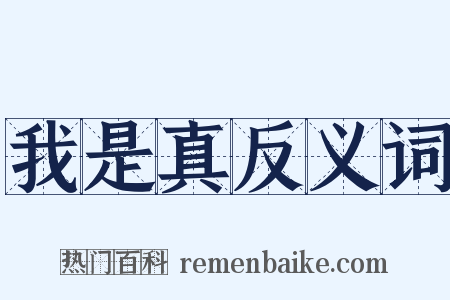 我是真反义词是什么意思的图片